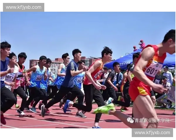 2017年NBL赛程全解析及关键赛事回顾